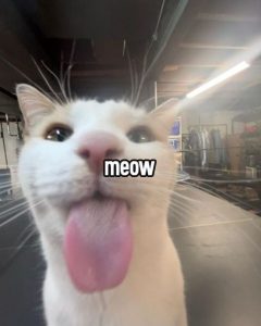 1000337960